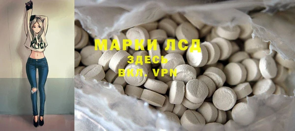 винт Абаза