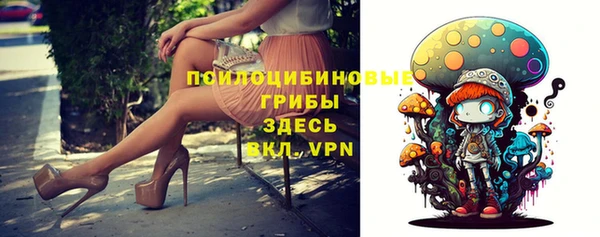 винт Абаза