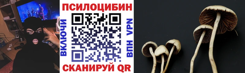 Галлюциногенные грибы мицелий  маркетплейс клад  Тимашёвск  где продают  